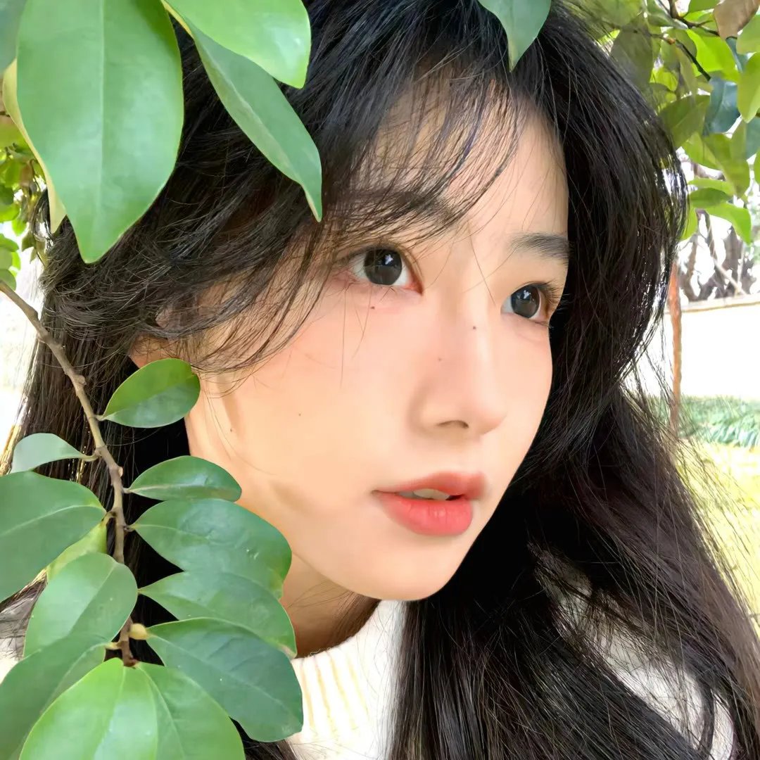 青春火花